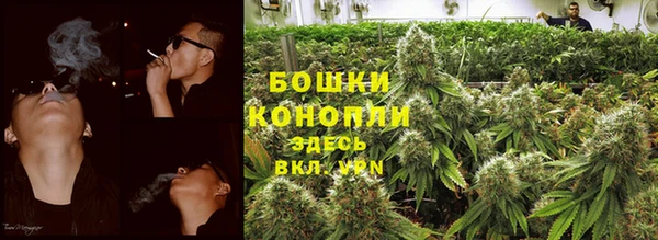 прущие крисы Осинники
