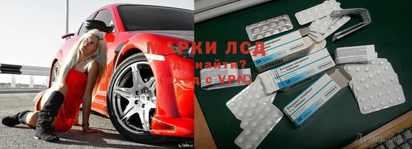 мяу мяу мука Остров