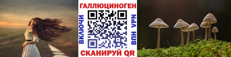 OMG как зайти  купить наркотик  Северо-Курильск  Галлюциногенные грибы Cubensis 